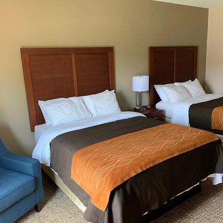 Comfort Inn Smithfield Near I-95 Ngoại thất bức ảnh