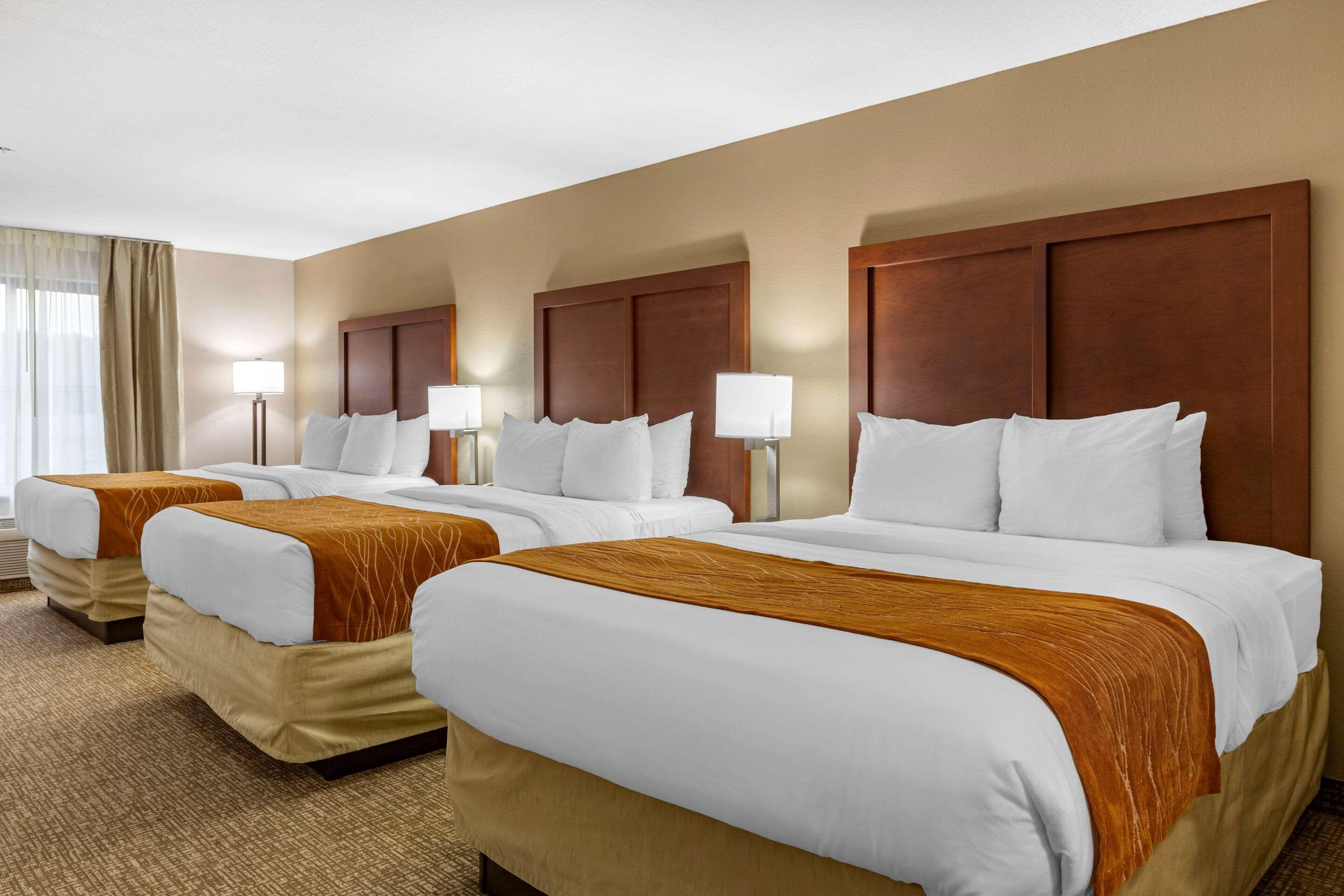 Comfort Inn Smithfield Near I-95 Ngoại thất bức ảnh